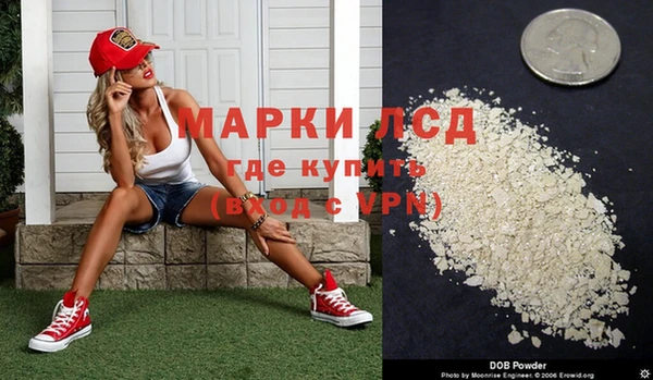 твердый Арсеньев
