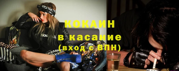 твердый Арсеньев