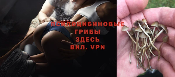 мет Аркадак