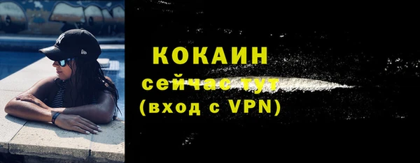 твердый Арсеньев