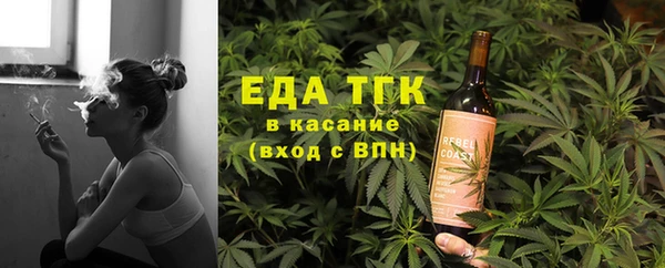 твердый Арсеньев