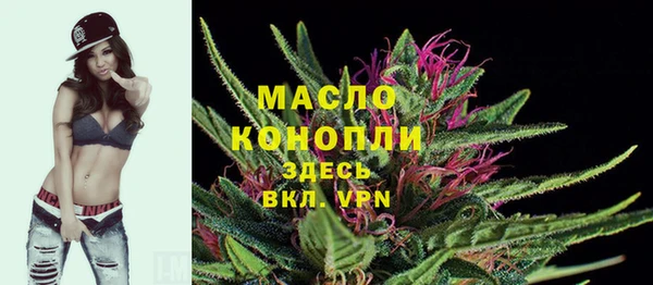 твердый Арсеньев